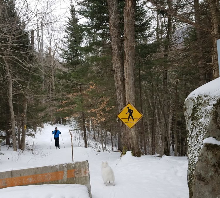 Jack Rabbit Ski Trail (Mountain Rd access) (Lake&nbspPlacid,&nbspNY)